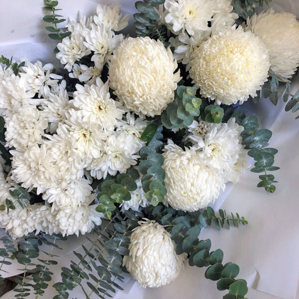 Chrysanthemums for Mum